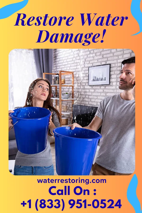 water restoration Flood Mitigation LLC Lima
