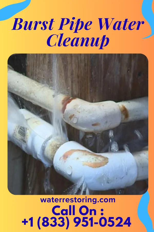 Burst Pipe Water Cleanup in Lima, OH