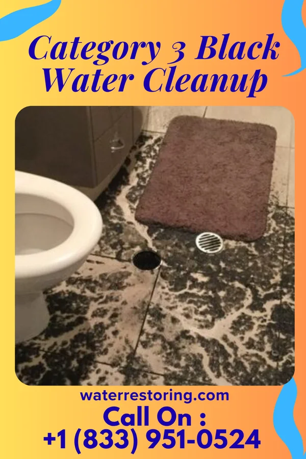 Category 3 Black Water Cleanup in Lima, OH