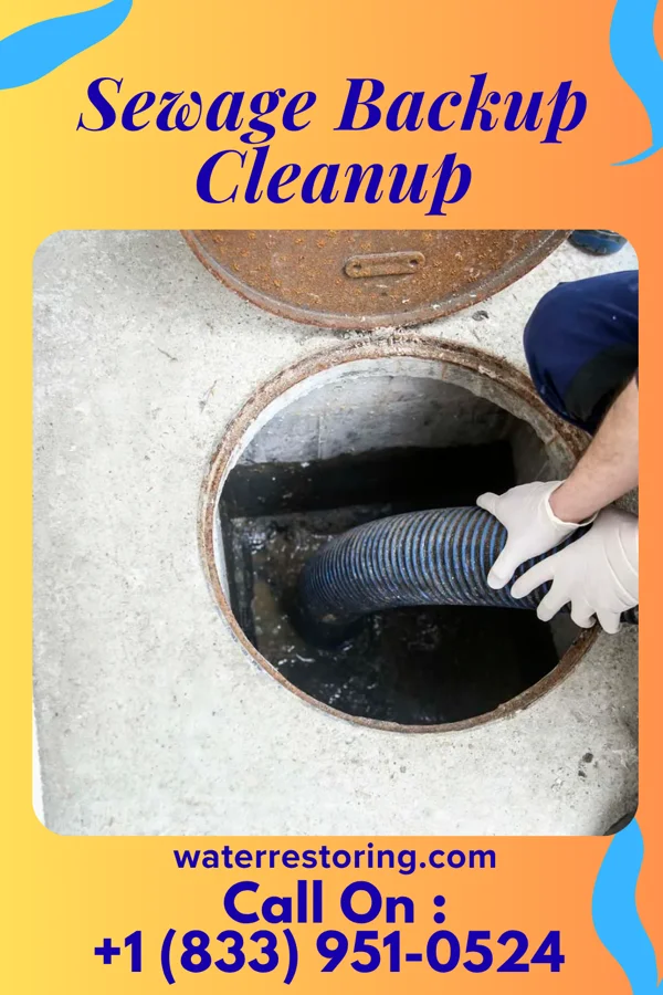 Sewage Backup Cleanup in Lima, OH