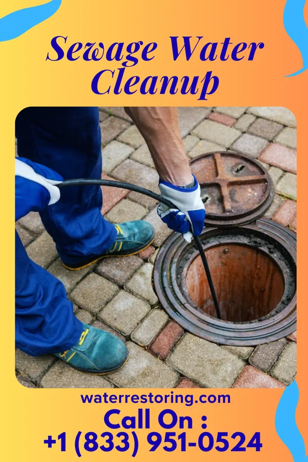 Sewage Water Cleanup in Lima, OH