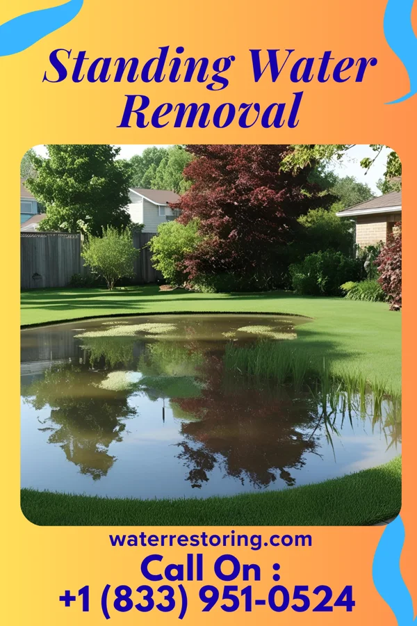 Standing Water Removal in Lima, OH